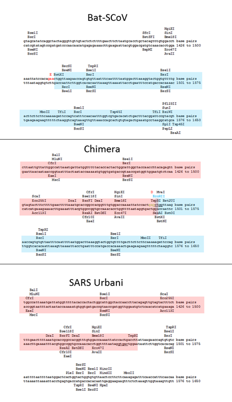SARS нерукотворный? Генеалогия уханьского коронавируса - 48