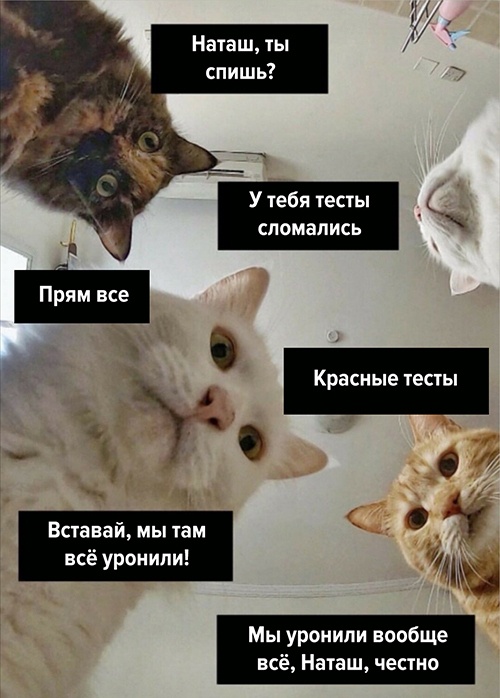 FunCorp ищет QA-инженеров: пройди интервью и получи оффер в тот же день - 2 FunCorp ищет QA-инженеров: пройди интервью и получи оффер в тот же день - 2