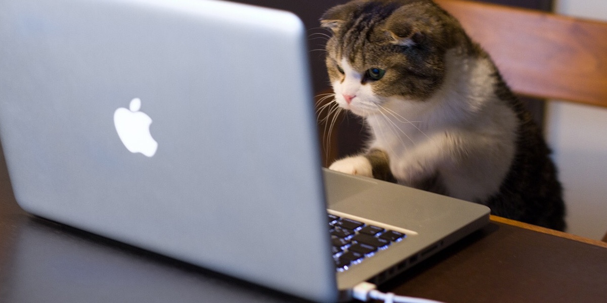 Создание интерфейса для игры - 24