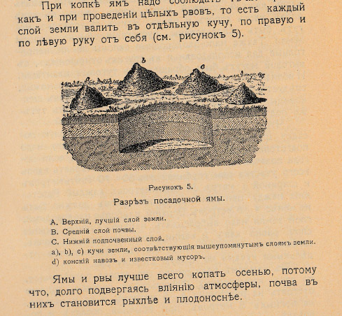 Как воспитать здорового довольного червя: разбираем инструкцию 1910 года - 10 Как воспитать здорового довольного червя: разбираем инструкцию 1910 года - 10