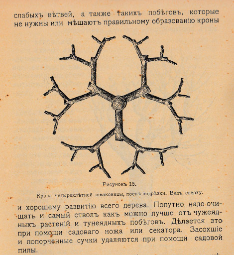 Как воспитать здорового довольного червя: разбираем инструкцию 1910 года - 11 Как воспитать здорового довольного червя: разбираем инструкцию 1910 года - 11