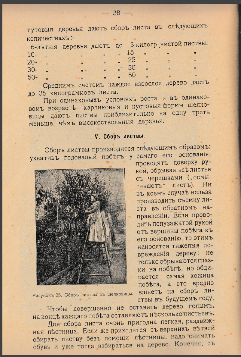 Как воспитать здорового довольного червя: разбираем инструкцию 1910 года - 12 Как воспитать здорового довольного червя: разбираем инструкцию 1910 года - 12