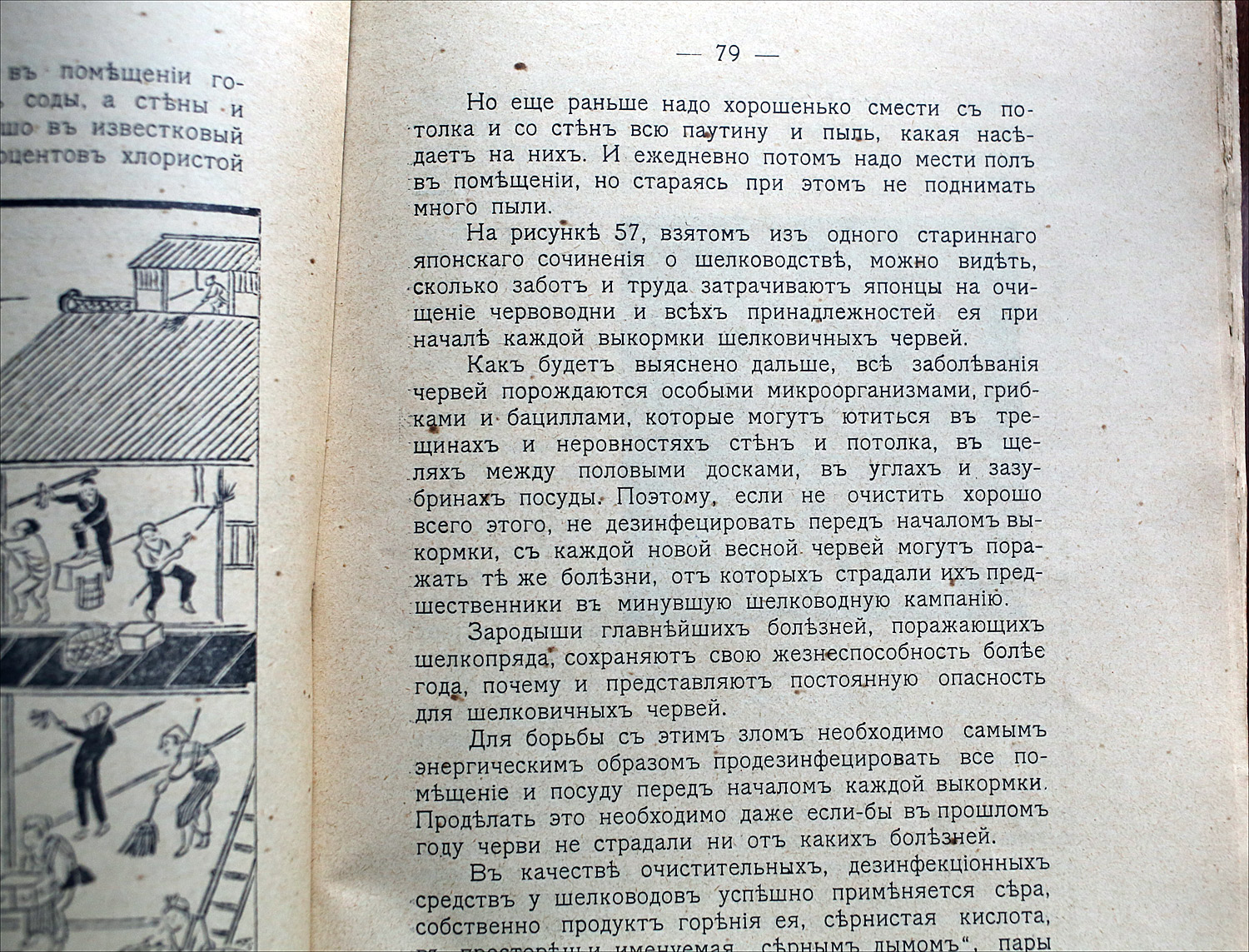 Как воспитать здорового довольного червя: разбираем инструкцию 1910 года - 20 Как воспитать здорового довольного червя: разбираем инструкцию 1910 года - 20