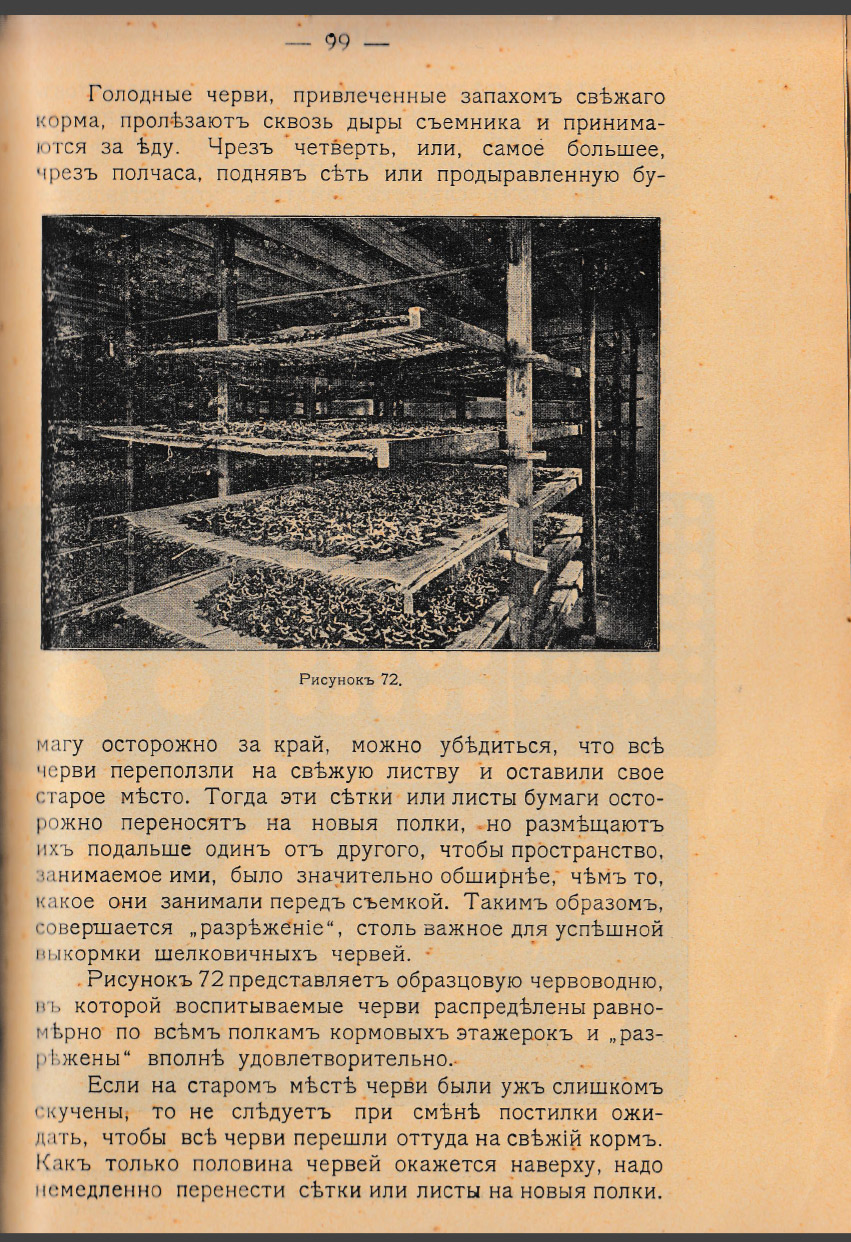 Как воспитать здорового довольного червя: разбираем инструкцию 1910 года - 21 Как воспитать здорового довольного червя: разбираем инструкцию 1910 года - 21