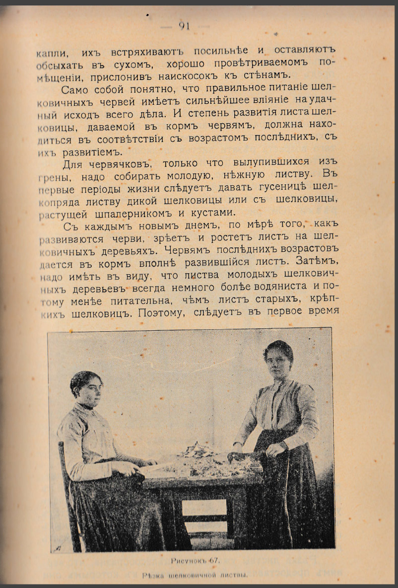 Как воспитать здорового довольного червя: разбираем инструкцию 1910 года - 22 Как воспитать здорового довольного червя: разбираем инструкцию 1910 года - 22