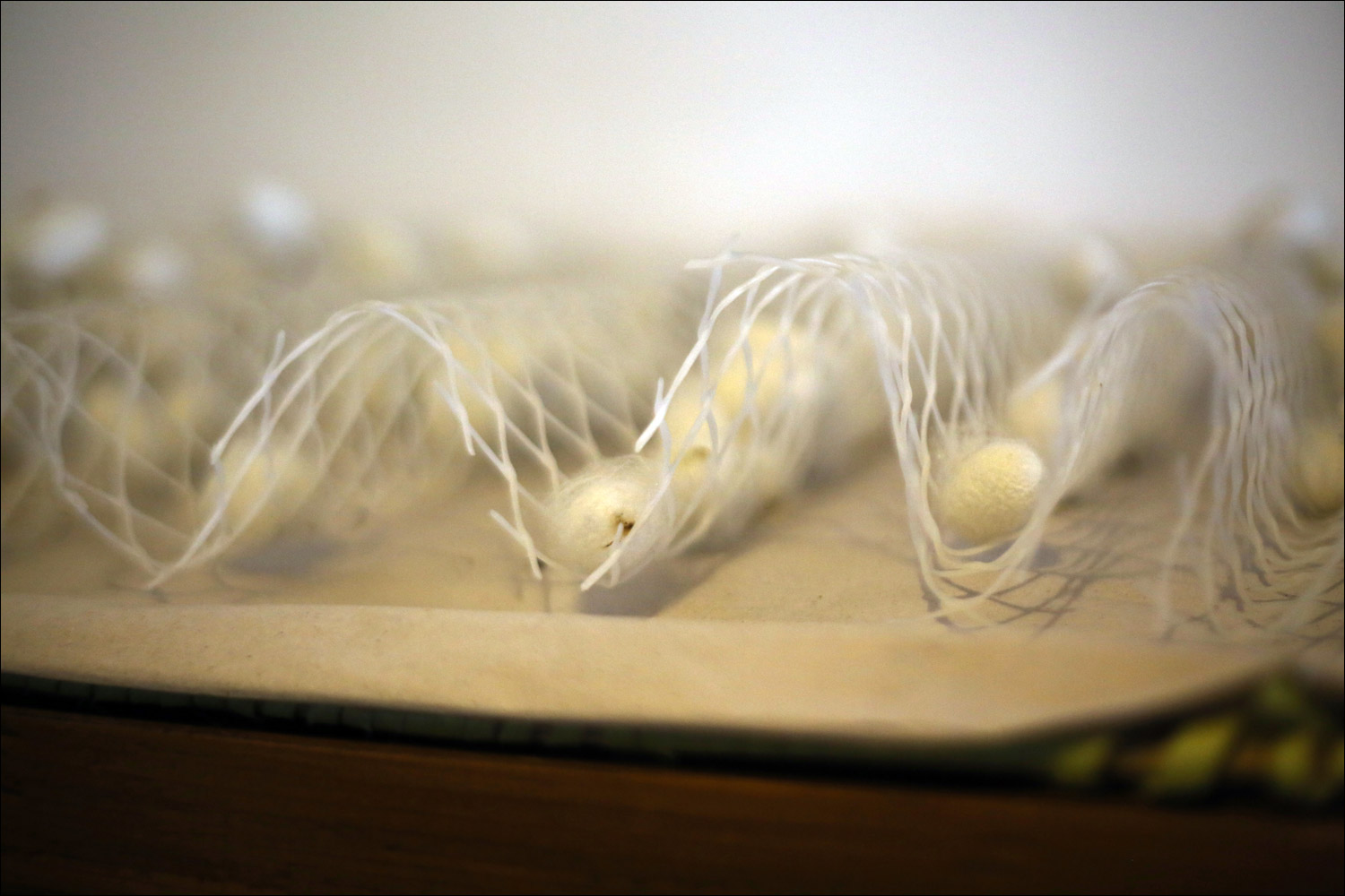 Как воспитать здорового довольного червя: разбираем инструкцию 1910 года - 27 Как воспитать здорового довольного червя: разбираем инструкцию 1910 года - 27