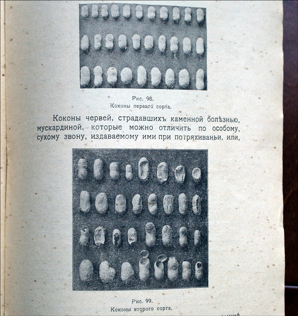 Как воспитать здорового довольного червя: разбираем инструкцию 1910 года - 28 Как воспитать здорового довольного червя: разбираем инструкцию 1910 года - 28