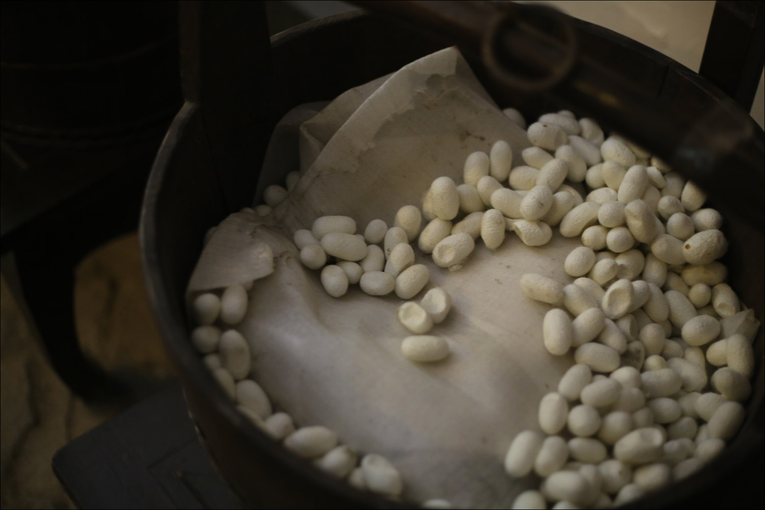 Как воспитать здорового довольного червя: разбираем инструкцию 1910 года - 29 Как воспитать здорового довольного червя: разбираем инструкцию 1910 года - 29