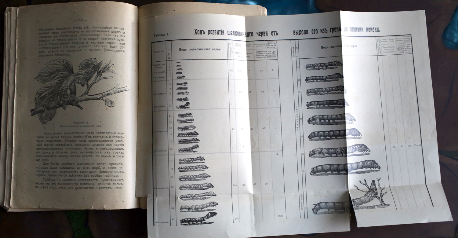 Как воспитать здорового довольного червя: разбираем инструкцию 1910 года - 3 Как воспитать здорового довольного червя: разбираем инструкцию 1910 года - 3