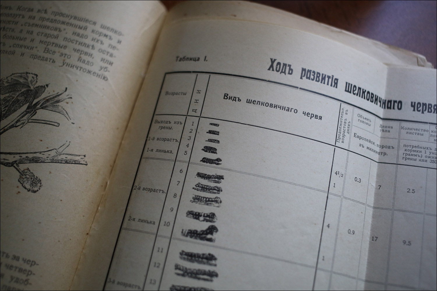 Как воспитать здорового довольного червя: разбираем инструкцию 1910 года - 4 Как воспитать здорового довольного червя: разбираем инструкцию 1910 года - 4