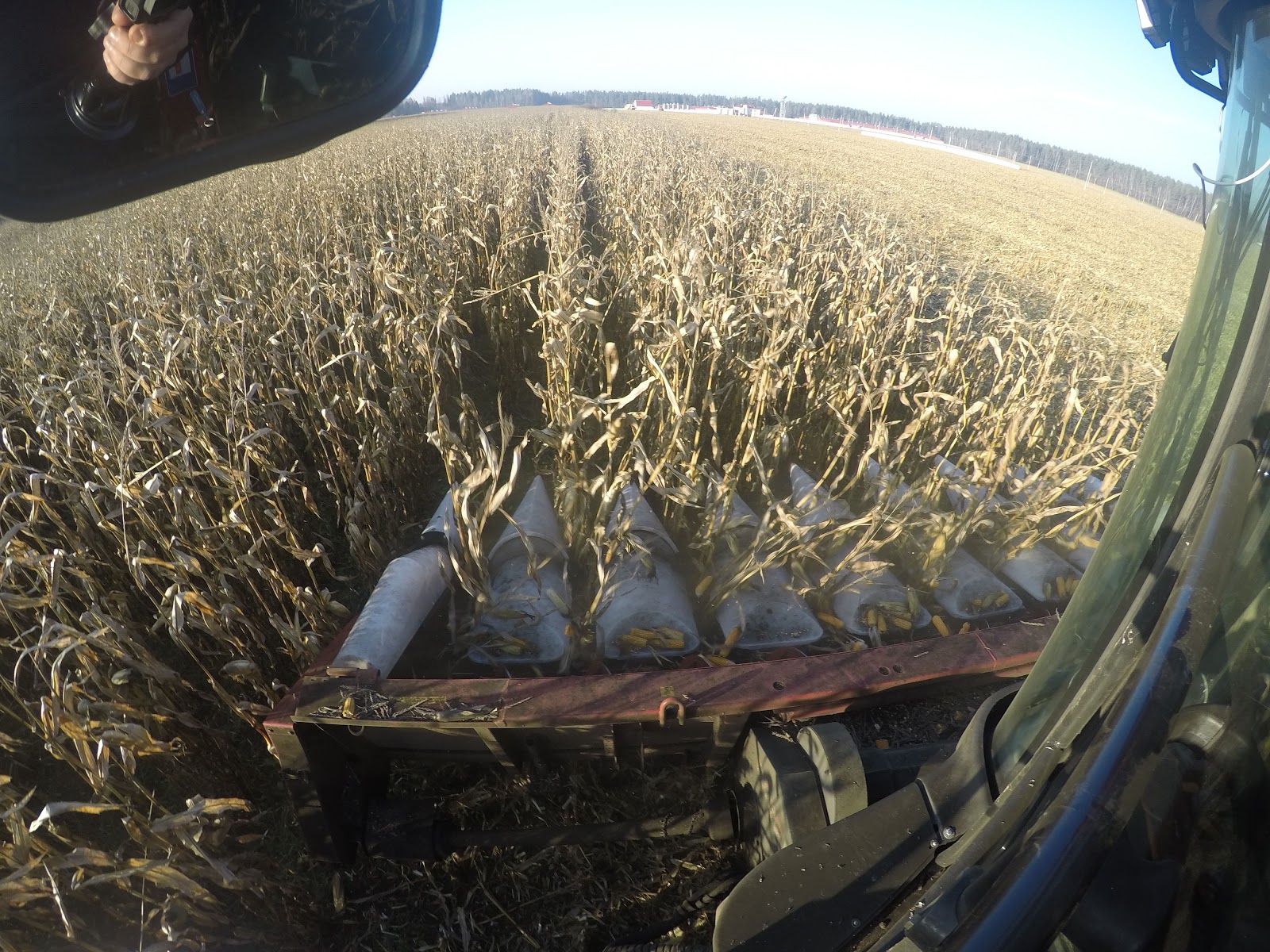 Как мы создаем Сognitive Agro Data Factory — самый большой нейронный университет в мире - 2 Как мы создаем Сognitive Agro Data Factory — самый большой нейронный университет в мире - 2