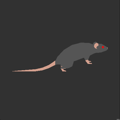 Rat extra tail swing