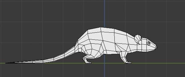 Rat model