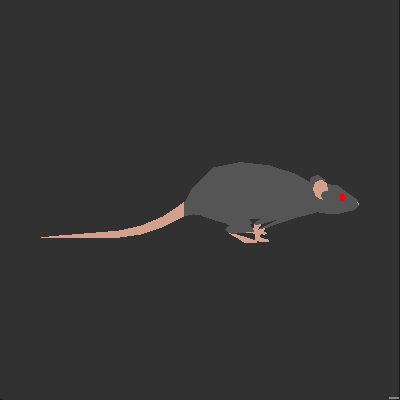Rat isolated legs movement