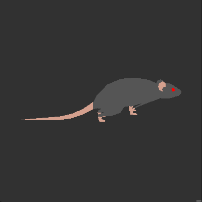 Rat with phase offset