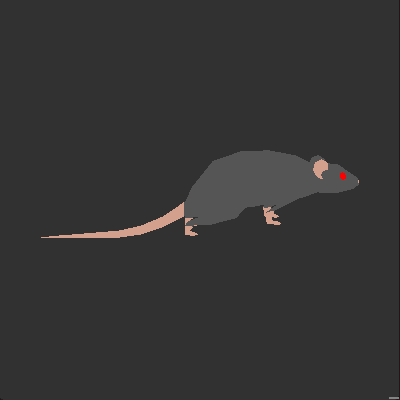 Rat final
