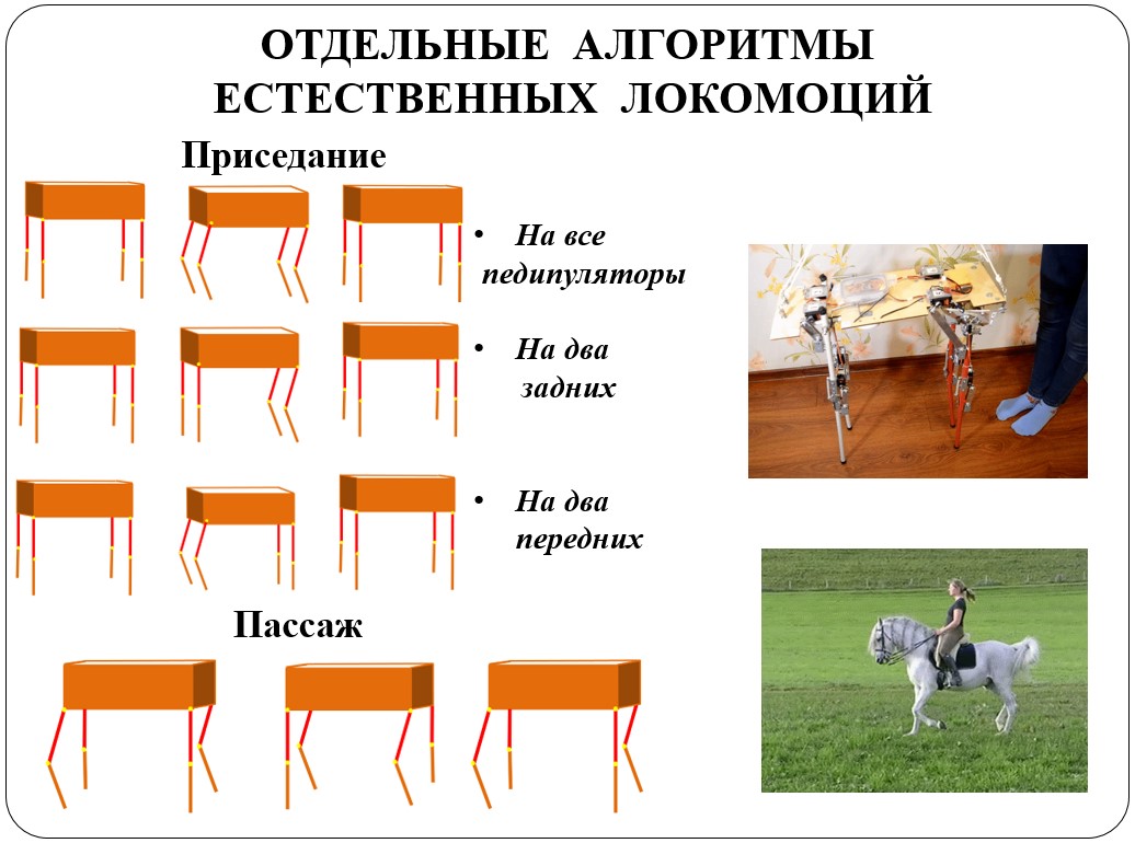 Отцы, дети и биоморфные роботы: интервью с Александрой Архиповой, героиней «Профессий будущего» - 10