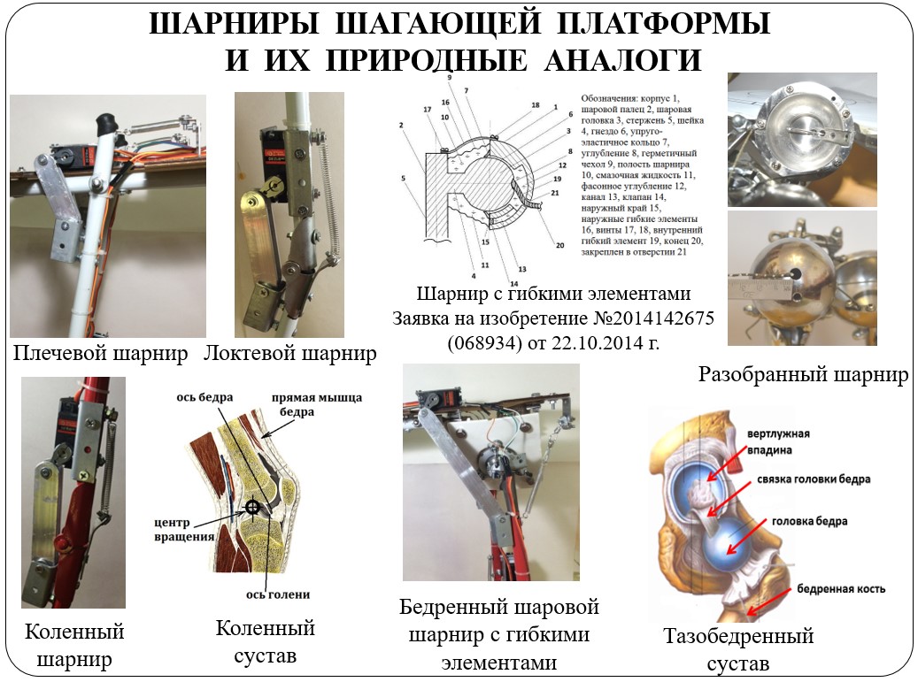 Отцы, дети и биоморфные роботы: интервью с Александрой Архиповой, героиней «Профессий будущего» - 3 Отцы, дети и биоморфные роботы: интервью с Александрой Архиповой, героиней «Профессий будущего» - 3