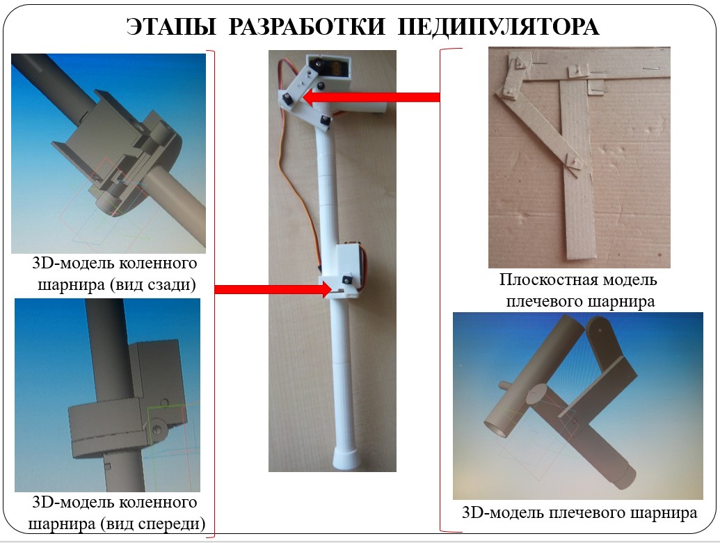 Отцы, дети и биоморфные роботы: интервью с Александрой Архиповой, героиней «Профессий будущего» - 6 Отцы, дети и биоморфные роботы: интервью с Александрой Архиповой, героиней «Профессий будущего» - 6