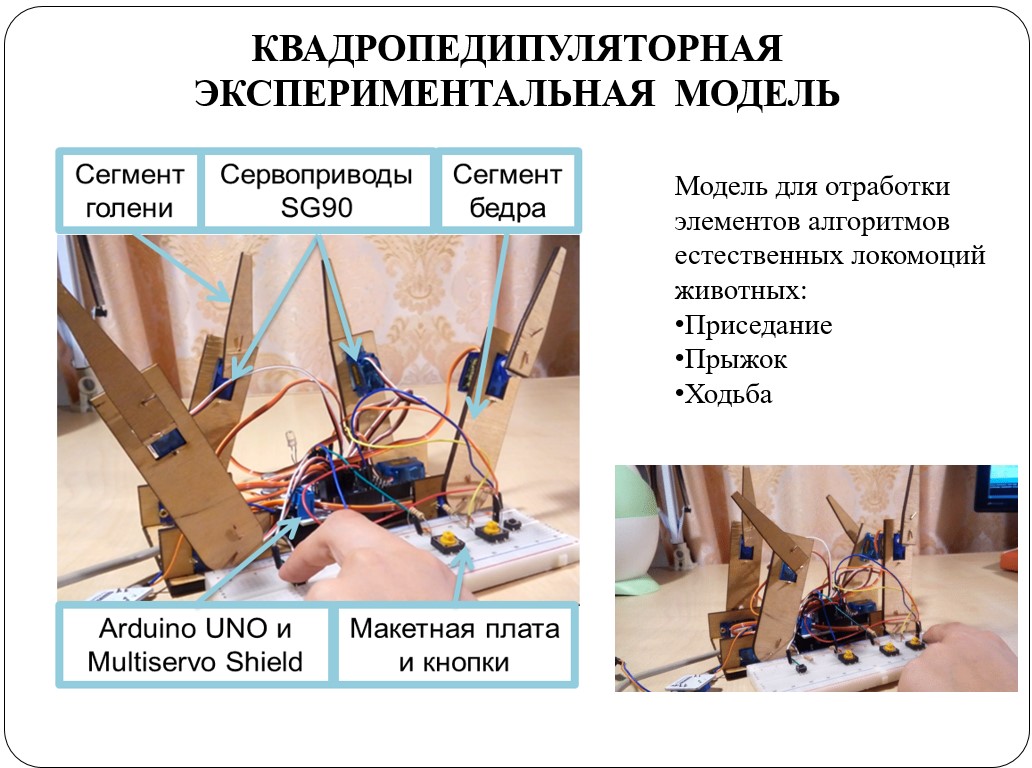 Отцы, дети и биоморфные роботы: интервью с Александрой Архиповой, героиней «Профессий будущего» - 7 Отцы, дети и биоморфные роботы: интервью с Александрой Архиповой, героиней «Профессий будущего» - 7