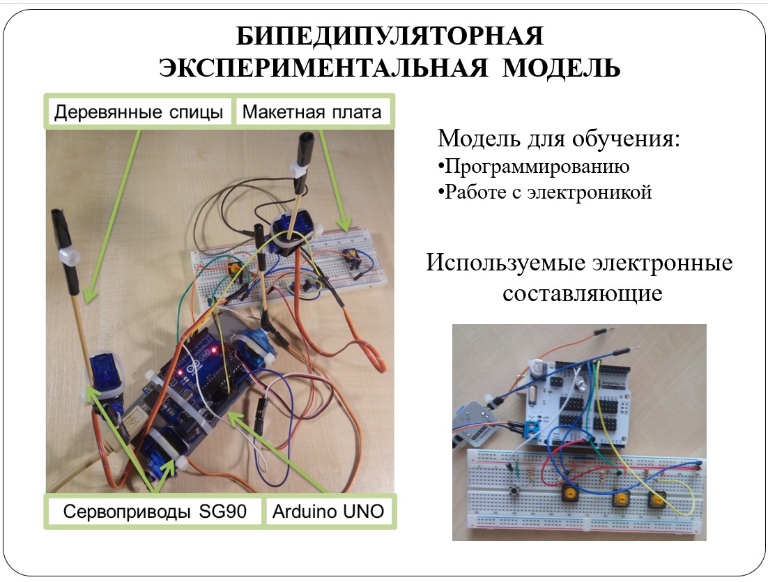 Отцы, дети и биоморфные роботы: интервью с Александрой Архиповой, героиней «Профессий будущего» - 8 Отцы, дети и биоморфные роботы: интервью с Александрой Архиповой, героиней «Профессий будущего» - 8