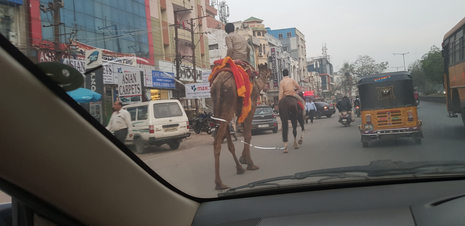 Как переехать в Индию всей семьей и не быть избитым палками на карантине - 6 Как переехать в Индию всей семьей и не быть избитым палками на карантине - 6