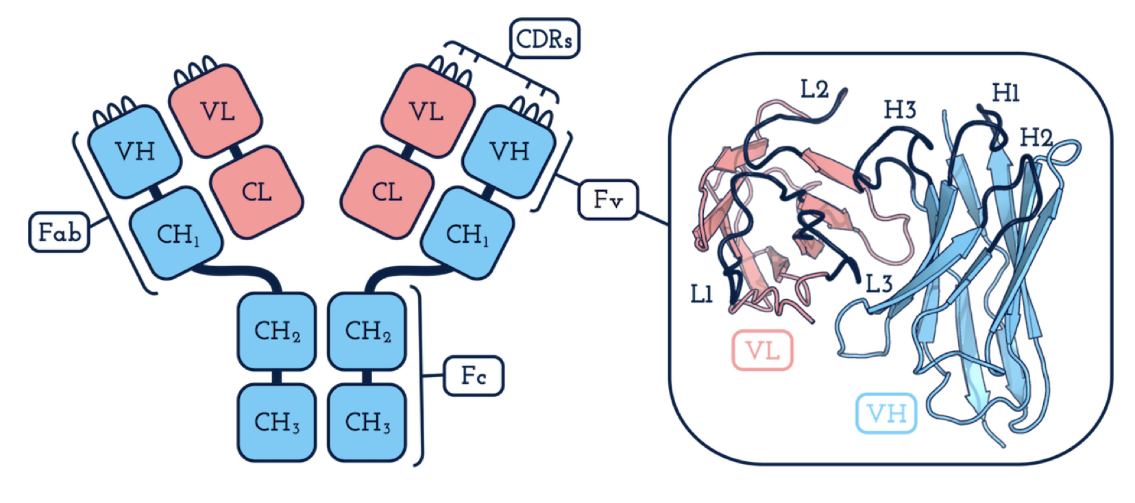 Всё-таки я не зря учился! Как клёвые алгоритмы и школьные формулы помогают создавать инновационные лекарства - 2 image