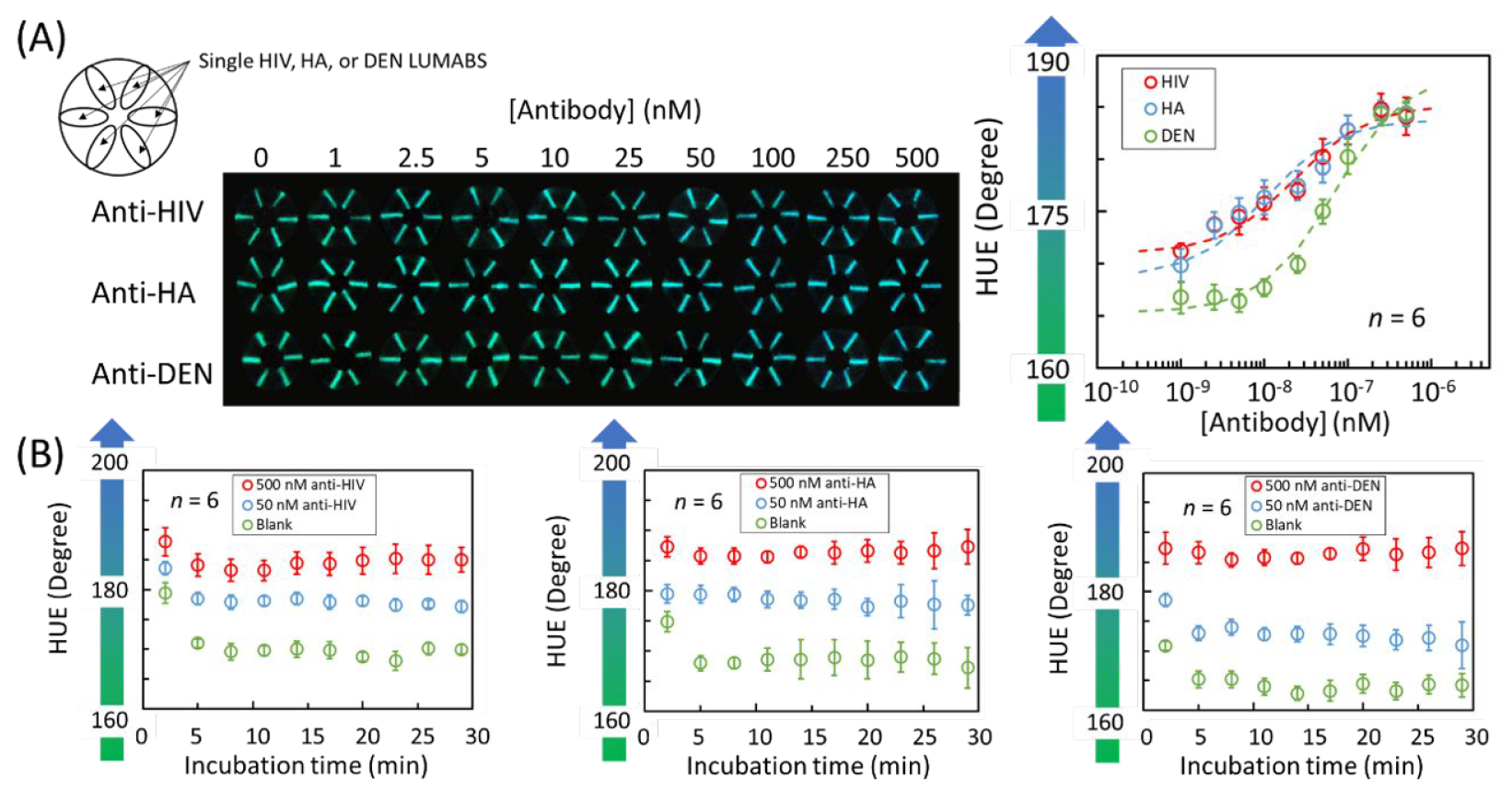 Хлопковая нить, биолюминесценция и смартфон: анализ крови на антитела за 5 минут - 5 Хлопковая нить, биолюминесценция и смартфон: анализ крови на антитела за 5 минут - 5