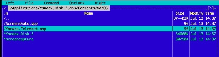 Переправа, переправа! Берег левый, берег правый… или мысли вслух о Яндекс.Телемост - 4 Переправа, переправа! Берег левый, берег правый… или мысли вслух о Яндекс.Телемост - 4