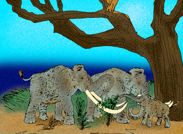 Россия — месторождение слонов - 8