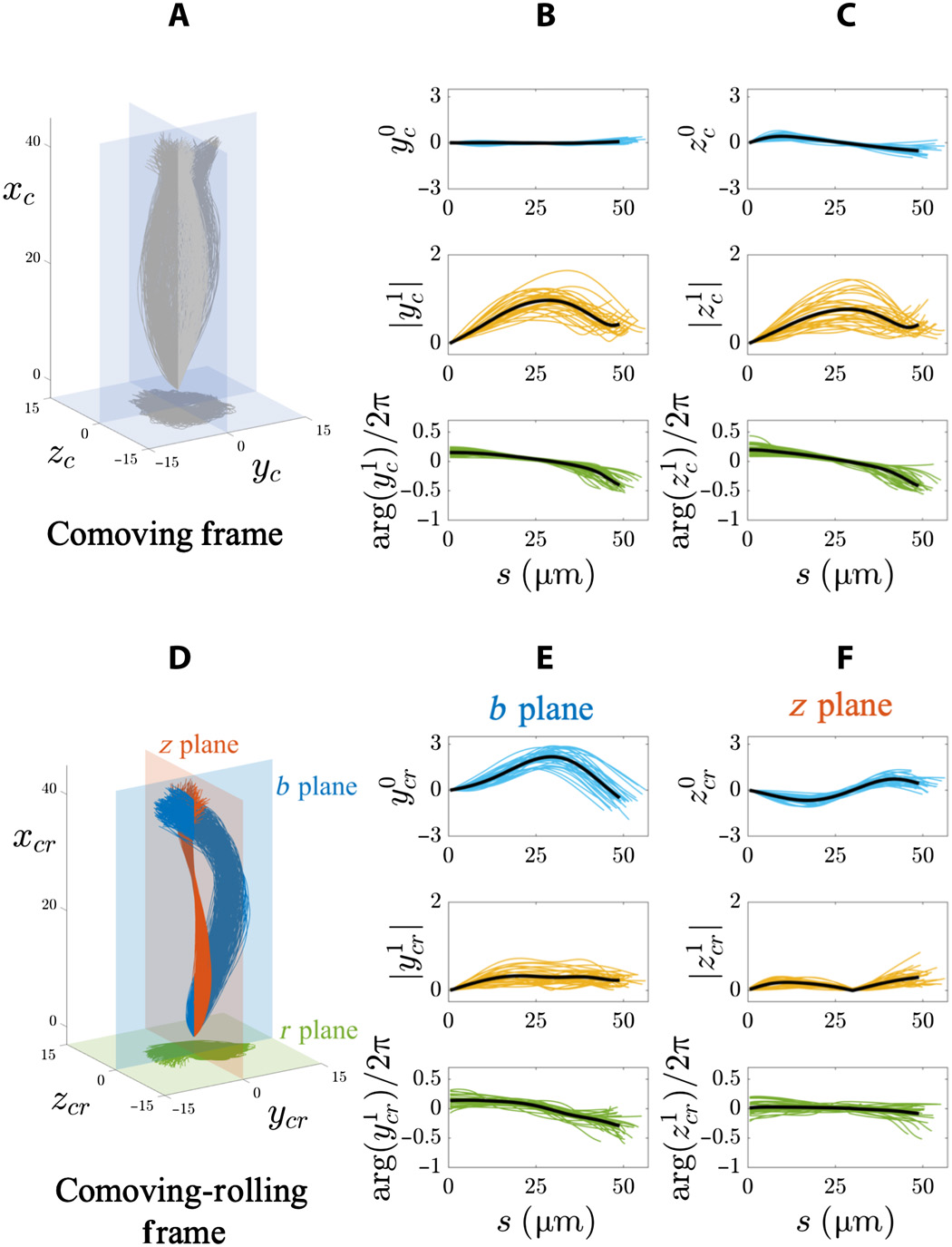 Движение это жизнь: кинематика сперматозоидов - 7 Движение это жизнь: кинематика сперматозоидов - 7