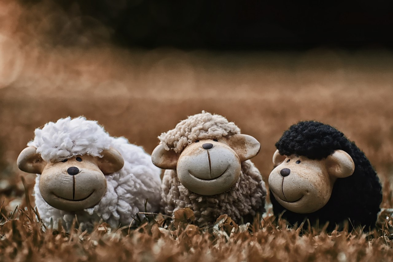 Синдром самозванца и эмоциональное выгорание - 4