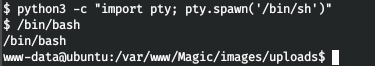 HackTheBox. Прохождение Magic. Password spraying. Mysqldump и LPE через sysinfo - 13