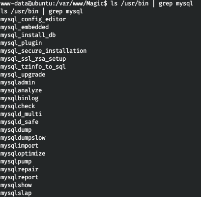 HackTheBox. Прохождение Magic. Password spraying. Mysqldump и LPE через sysinfo - 17 HackTheBox. Прохождение Magic. Password spraying. Mysqldump и LPE через sysinfo - 17