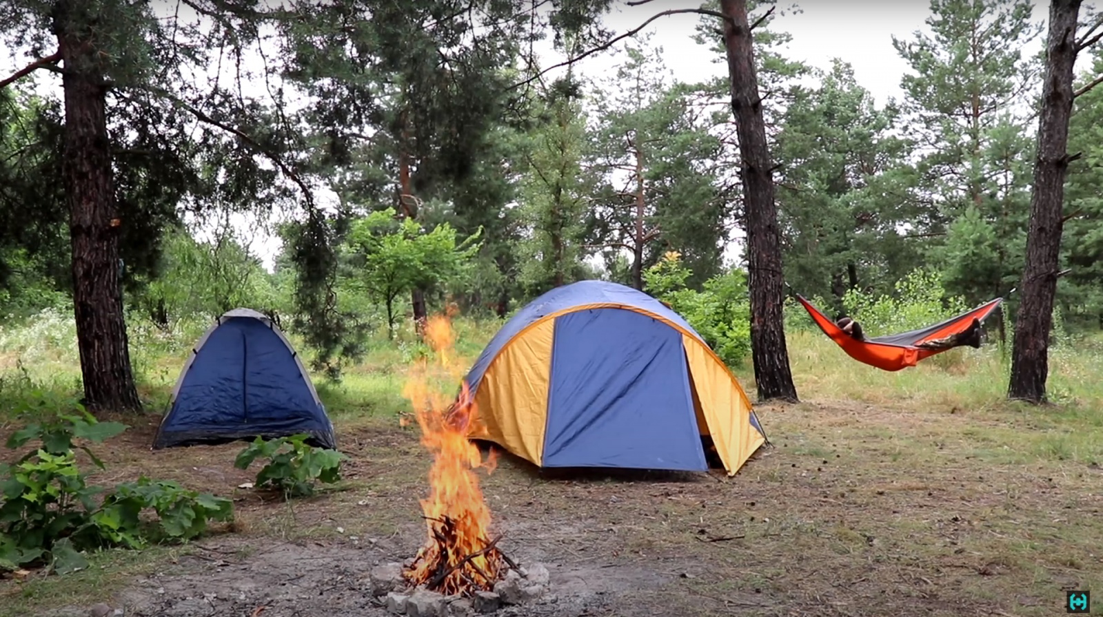 В поисках ДРЕВНЕЙ жизни. История под ногами - 7