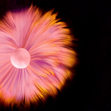 Хоть немного почувствовать себя владельцем Huawei Mate 40 Pro. Все обои для новинки в оригинальном разрешении