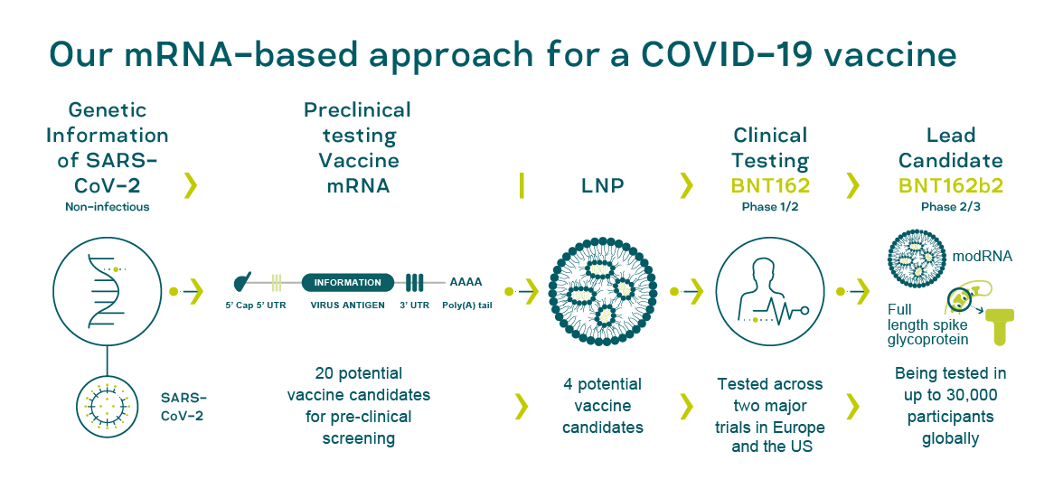 Первые вакцины от COVID-19. Сравнение российской «Спутник V» и BNT162b2 от Pfizer - 5