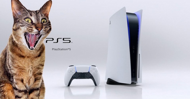 Самое большое разочарование покупателей Sony PlayStation 5. Вместо приставки может приехать кошачий корм и много чего ещё