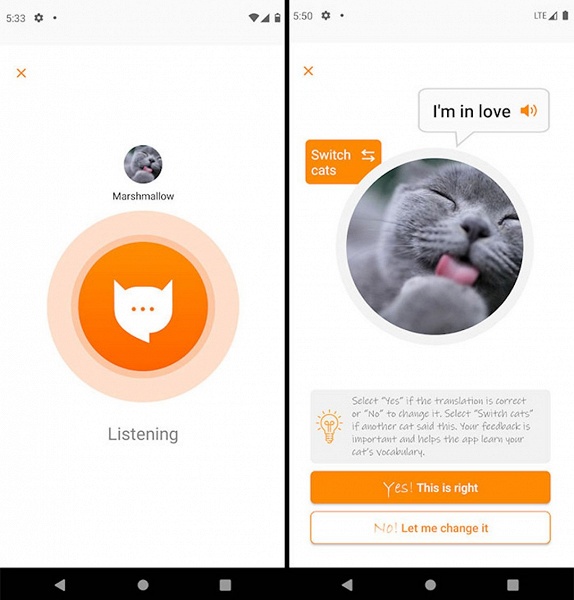 MeowTalk — переводчик с «кошачьего языка» на человеческий. Приложение использует машинное обучение