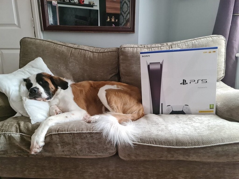 В погоне за &laquo;абсолютно распроданной&raquo; PlayStation 5. Sony пообещала новый завоз к праздникам