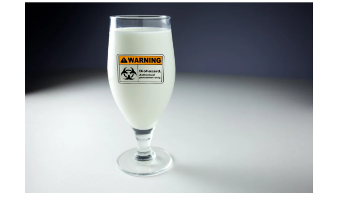 Молоко: пастеризация, туберкулез и болезни ЖКТ - 11