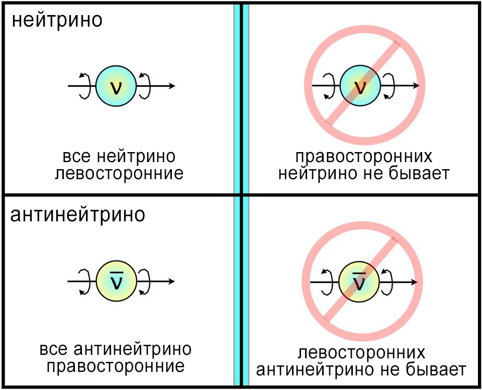 Почему Вселенная левосторонняя? - 4