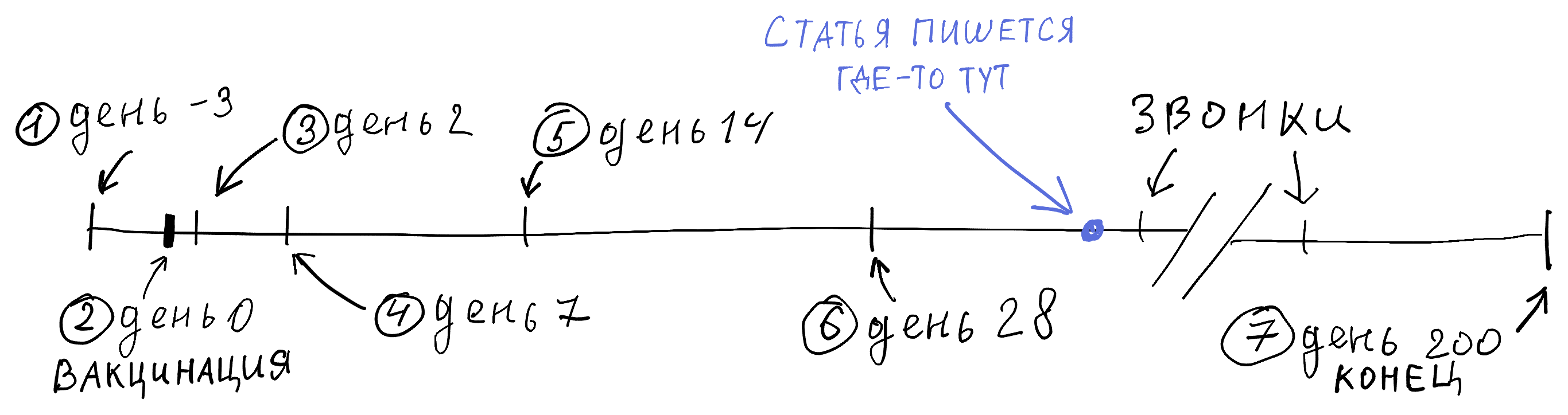 Хроники подопытного кролика: как тестируют вакцину от SARS-CoV-2 - 13