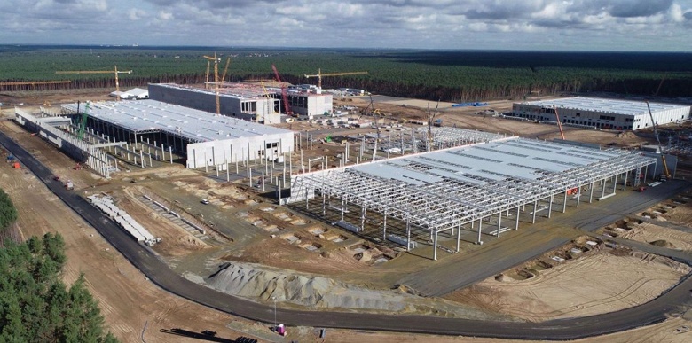 Tesla предписали остановить вырубку деревьев в пригороде Берлина из-за спящих змей