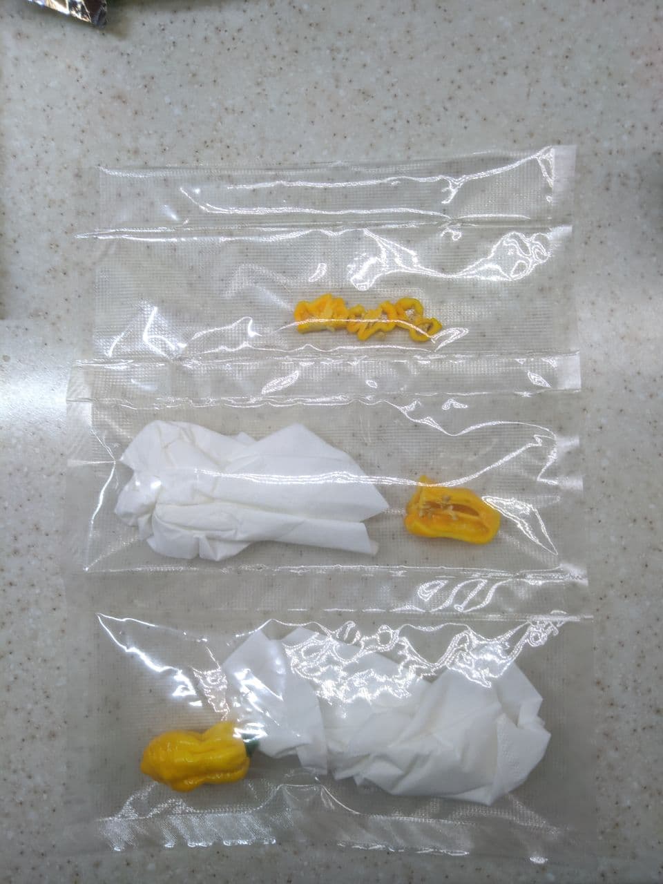 Малышка на миллион. Сковиллей - 2 Малышка на миллион. Сковиллей - 2