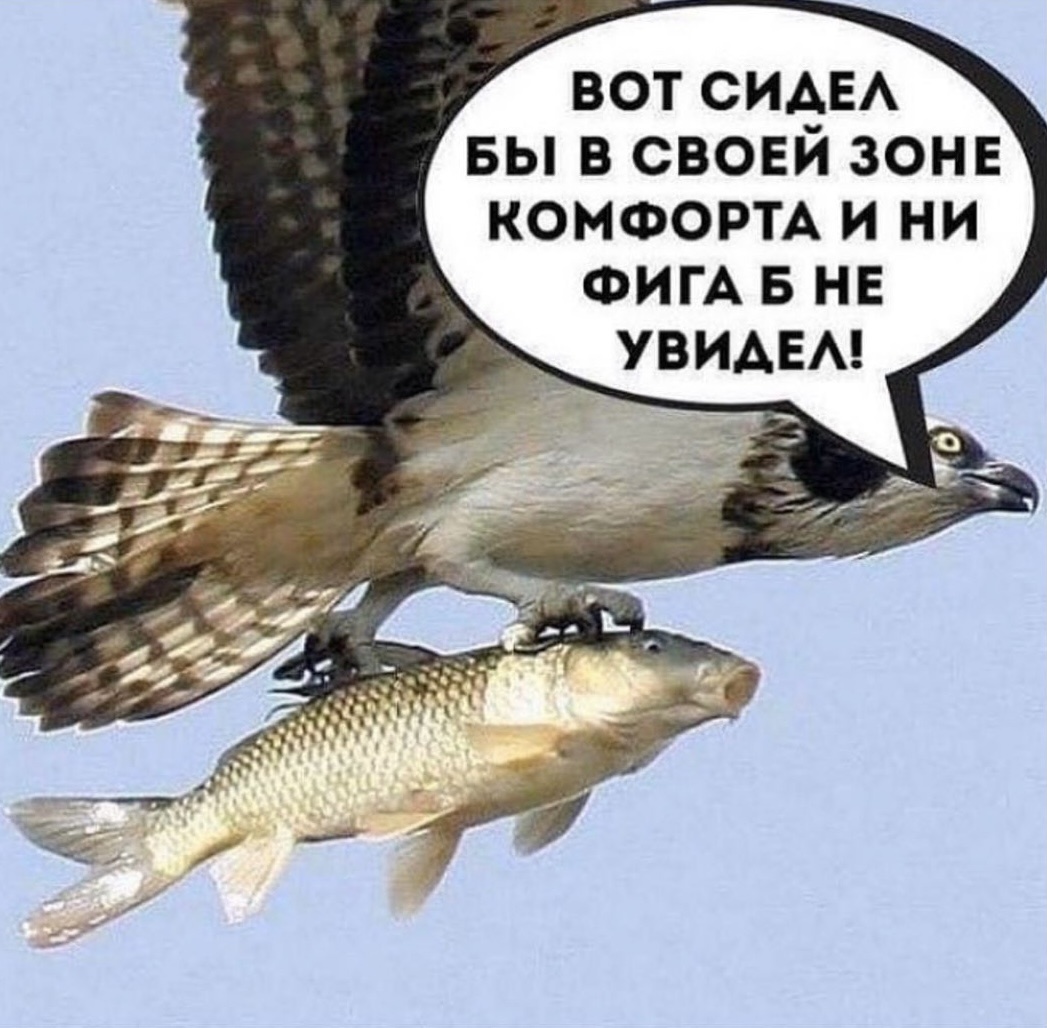 Software Engineer + Product Manager=Product Engineer? - 4