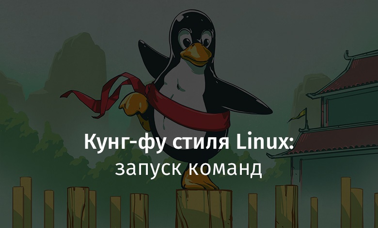 Кунг-фу стиля Linux: запуск команд - 1