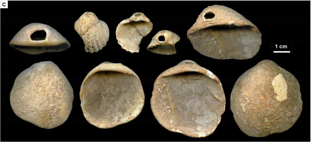 Радиоизотопная датировка и археология. К вопросу об уран-ториевом методе и неандертальском искусстве - 4 Радиоизотопная датировка и археология. К вопросу об уран-ториевом методе и неандертальском искусстве - 4