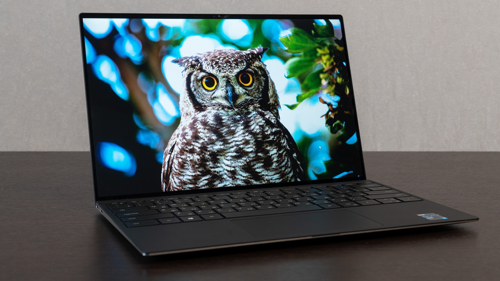 XPS 13 9310: эволюционный апгрейд флагманского ультрабука Dell с Tiger Lake внутри - 1