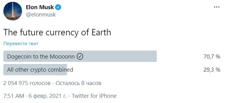 Илон Маск агитирует за Dogecoin – «будущую валюту Земли»